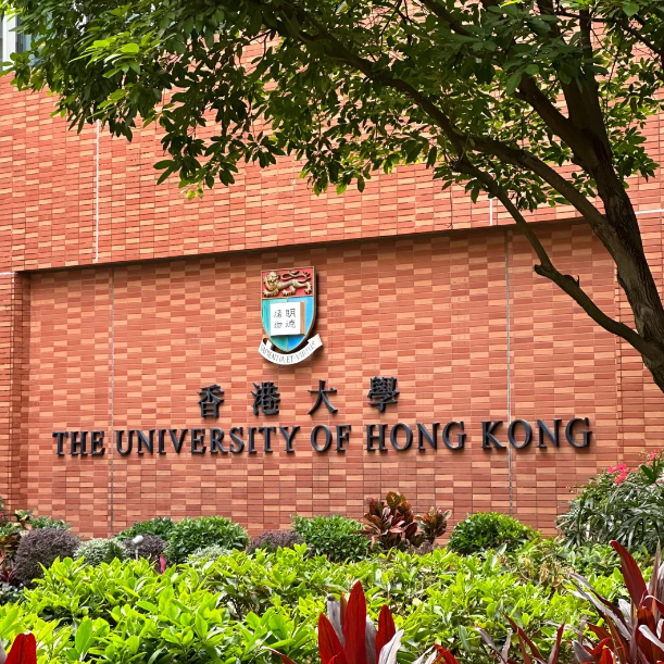 香港大学25Fall新增11个专业，盘点申请要求！